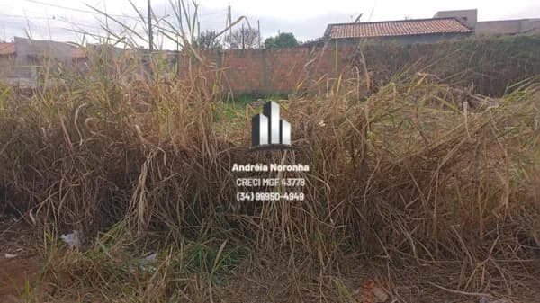 ✳️ VENDE-SE 2 LOTES NO JARDIM ESPERANÇA - ACEITA FINANCIAMENTO ✳️