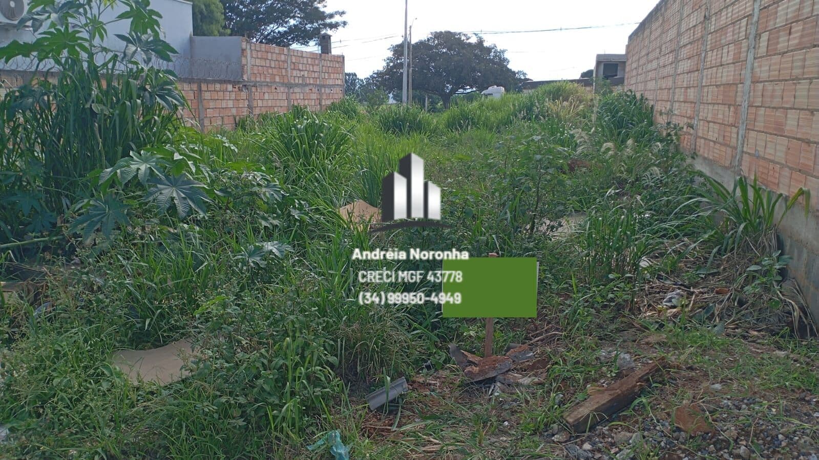 ✳️ LOTE À VENDA NO JARDIM EUROPA ✳️