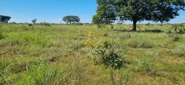 FAZENDA PARA PLANTIO