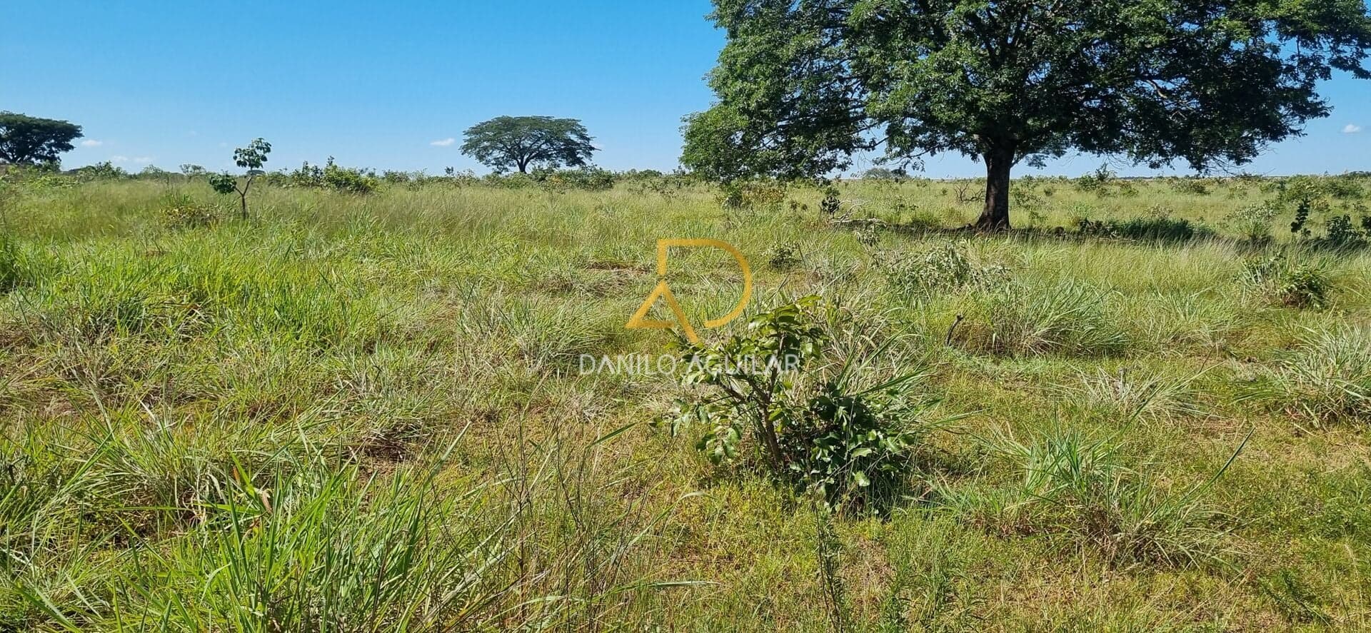FAZENDA PARA PLANTIO