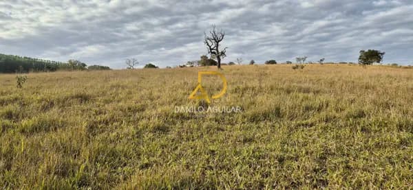 FAZENDA PARA LAVOURA DE CAFE