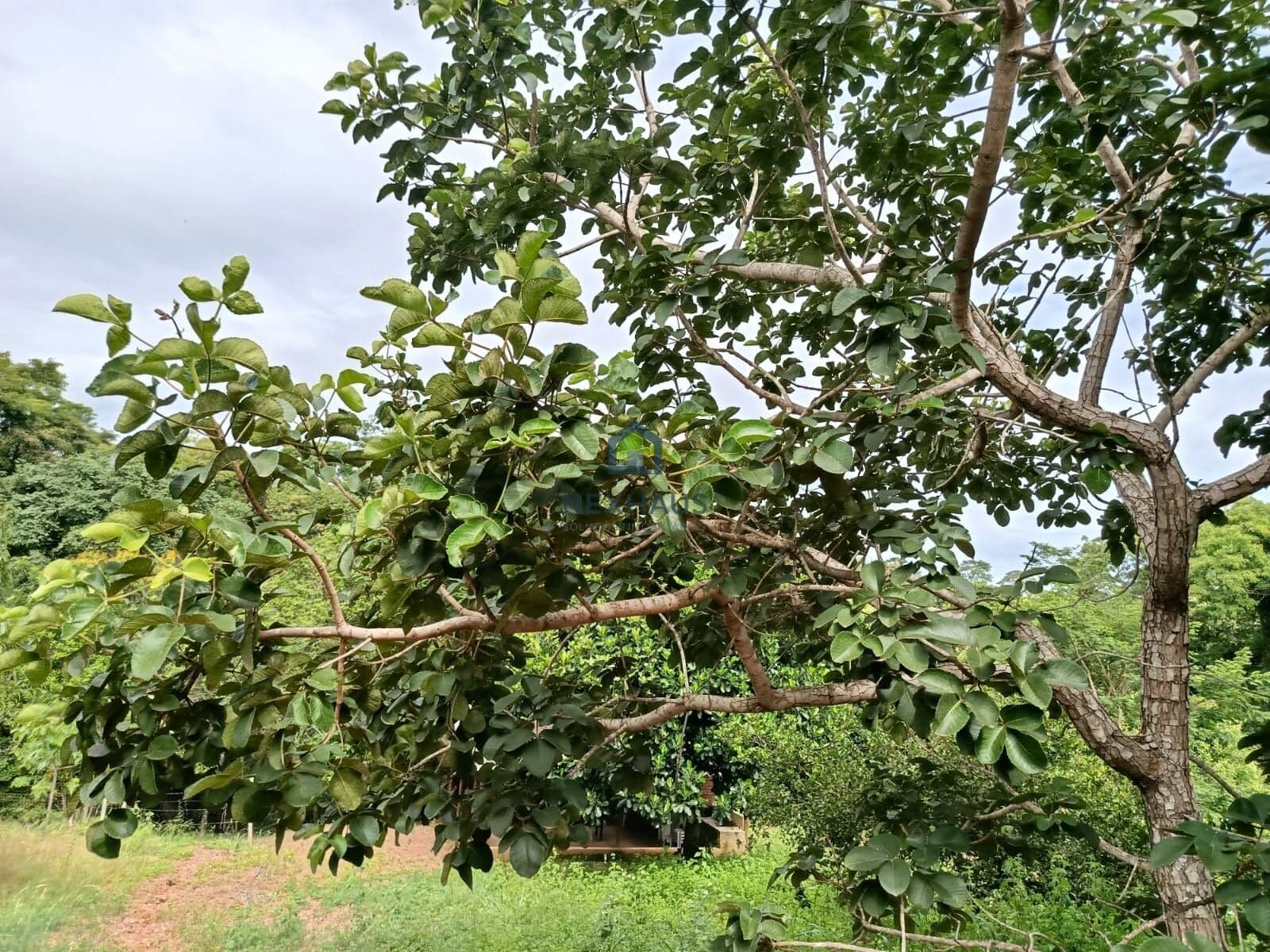 Fazenda/Sítios/Chácaras em Senador Canedo - Recanto dos Sonhos