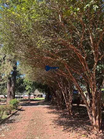 Chácara em Itanhangá Chácaras de Recreio, Ribeirão Preto/SP
