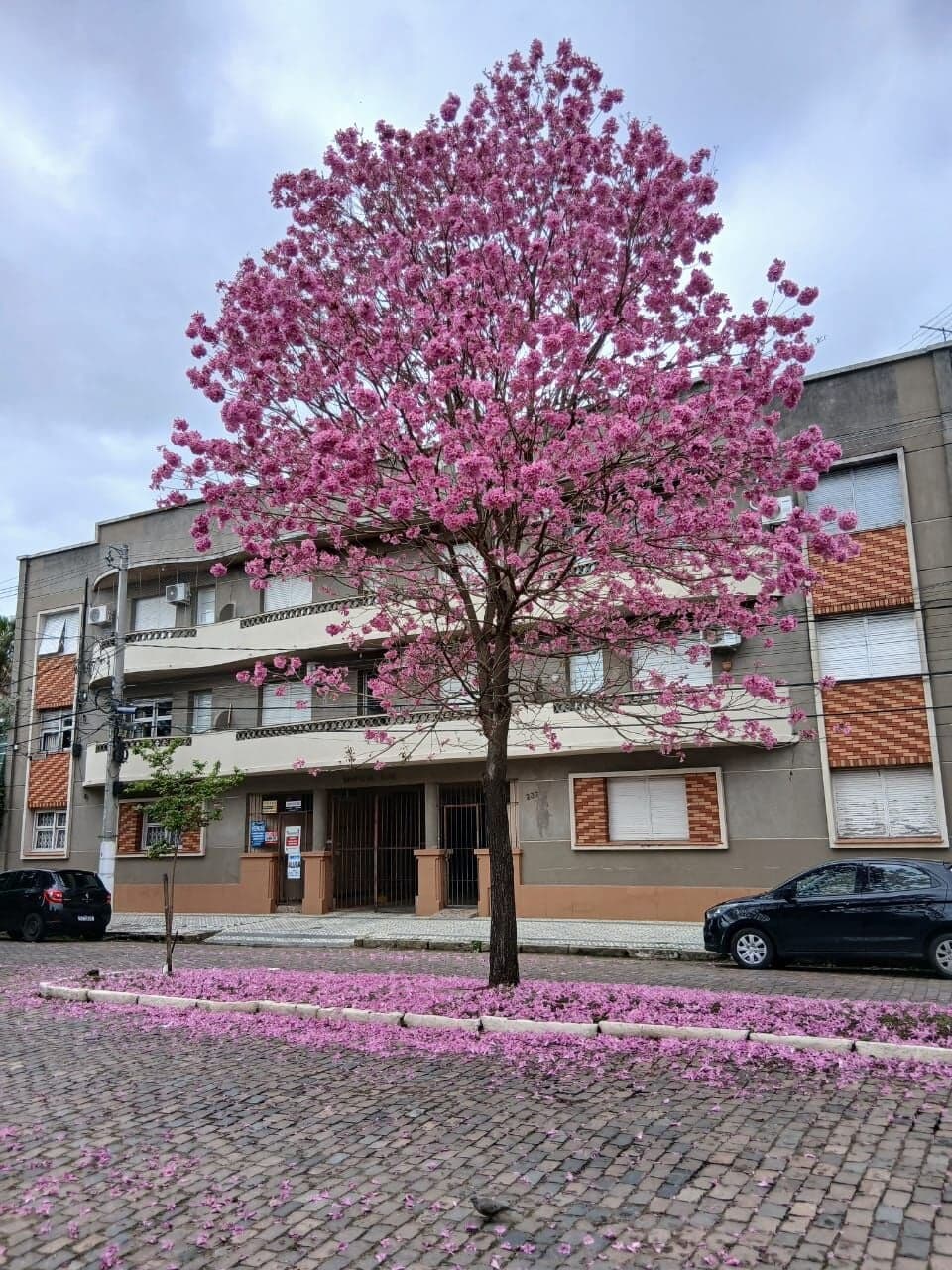 Apartamento em Bagé - Centro