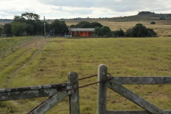 Fazenda/Sítios/Chácaras em Bagé - Área Rural de Bagé