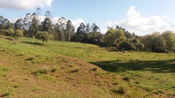 Fazenda/Sítios/Chácaras em Caçapava do Sul - Minas do Camaquã