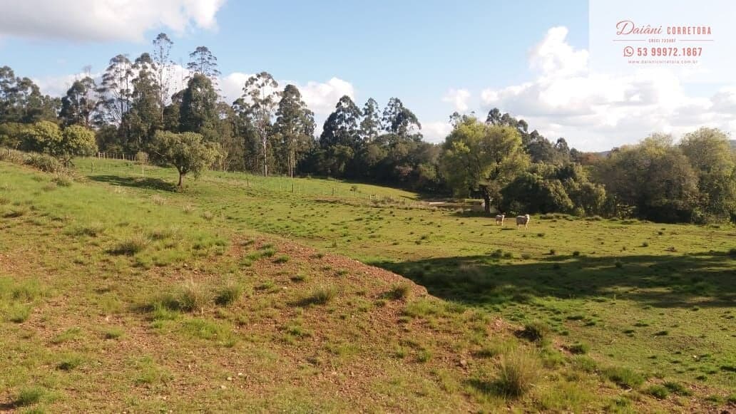 Fazenda/Sítios/Chácaras em Caçapava do Sul - Minas do Camaquã