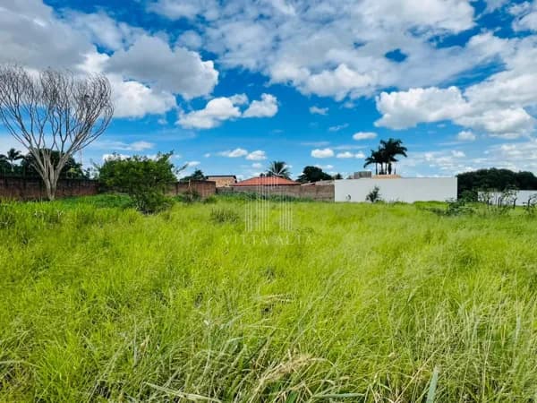 🏡 Terreno à Venda – Parque dos Pássaros | 1.000m² | Zona Sul de São José do Rio Preto