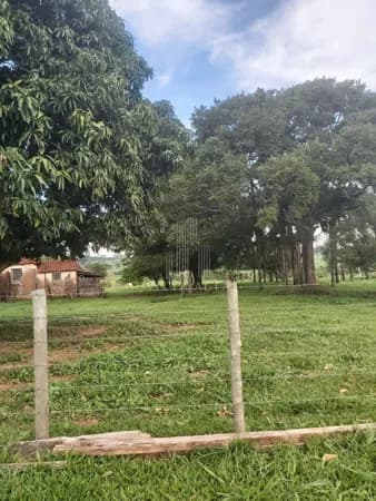 🌿 EXCELENTE OPORTUNIDADE SITIO EM NEVES PAULISTA 🌿