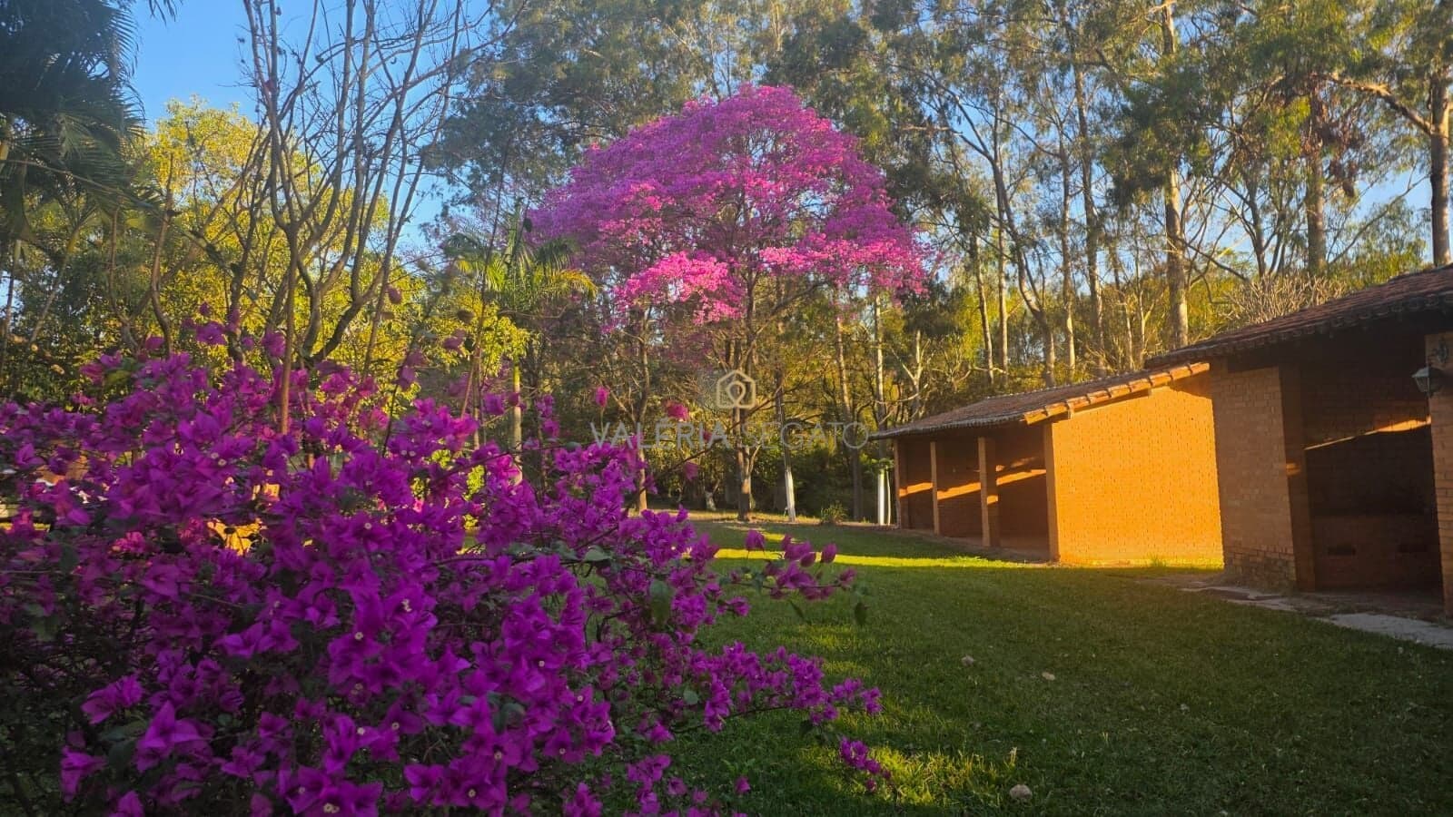 Sítio - Tietê/SP - Lazer e Sustentabilidade