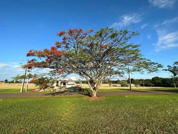 Lote de 1.003 m² no Condomínio Jatobá - Cesário Lange/ SP
