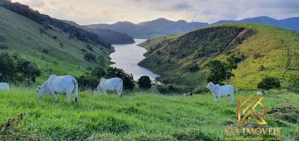 Fazenda de 140 Alquieres - Natividade da Serra