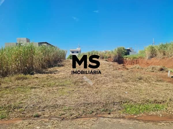 Lote/Terreno em Porto Rico - Loteamento Riviera