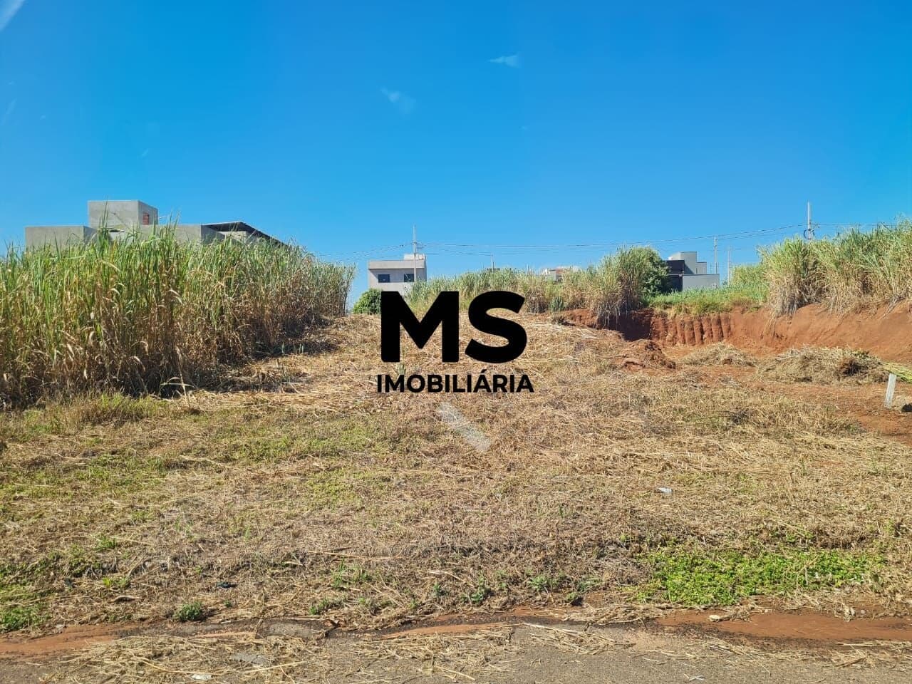 Lote/Terreno em Porto Rico - Loteamento Riviera