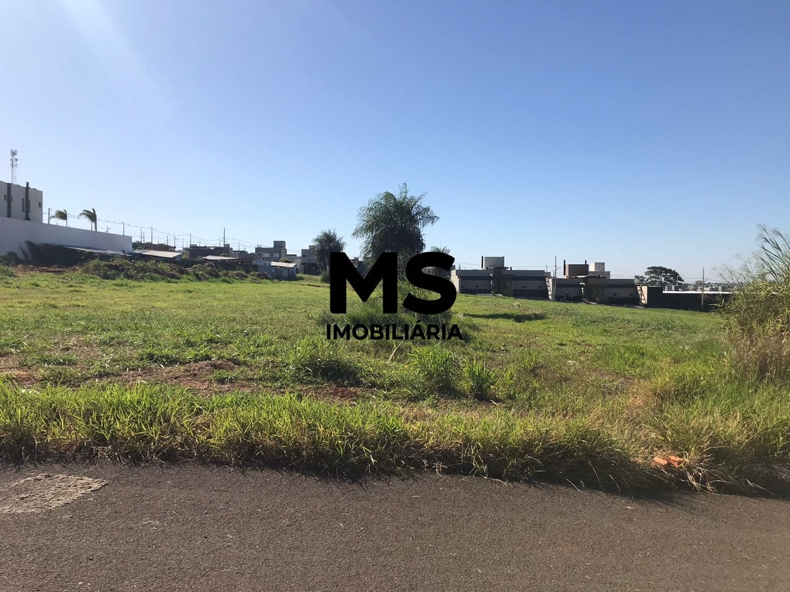 Lote/Terreno em Porto Rico - Loteamento Riviera