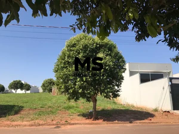 Lote/Terreno em Porto Rico - Jardim Grécia