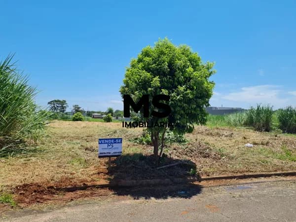Terreno á venda no Loteamento Riviera em Porto Rico PR