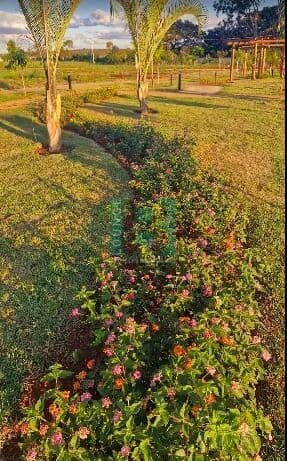 Lote/Terreno em Paulínia - Boa Esperança