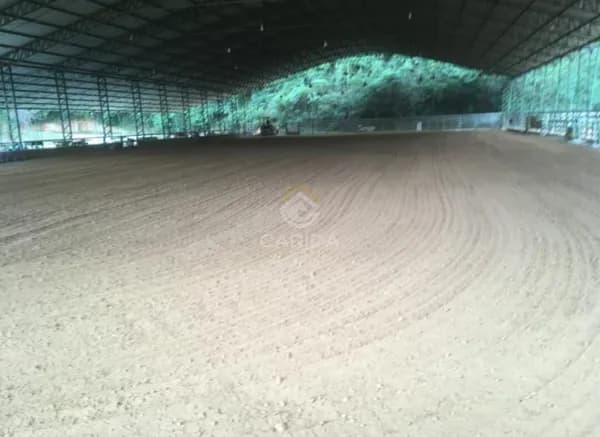 Haras Profissional em São Roque