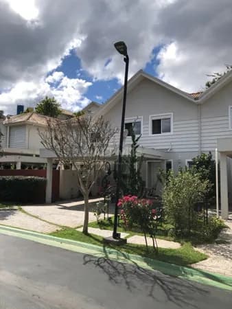 Scenic Alphaville