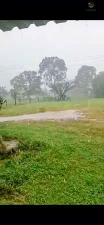 Fazenda/Sítios/Chácaras em São Francisco - Centro