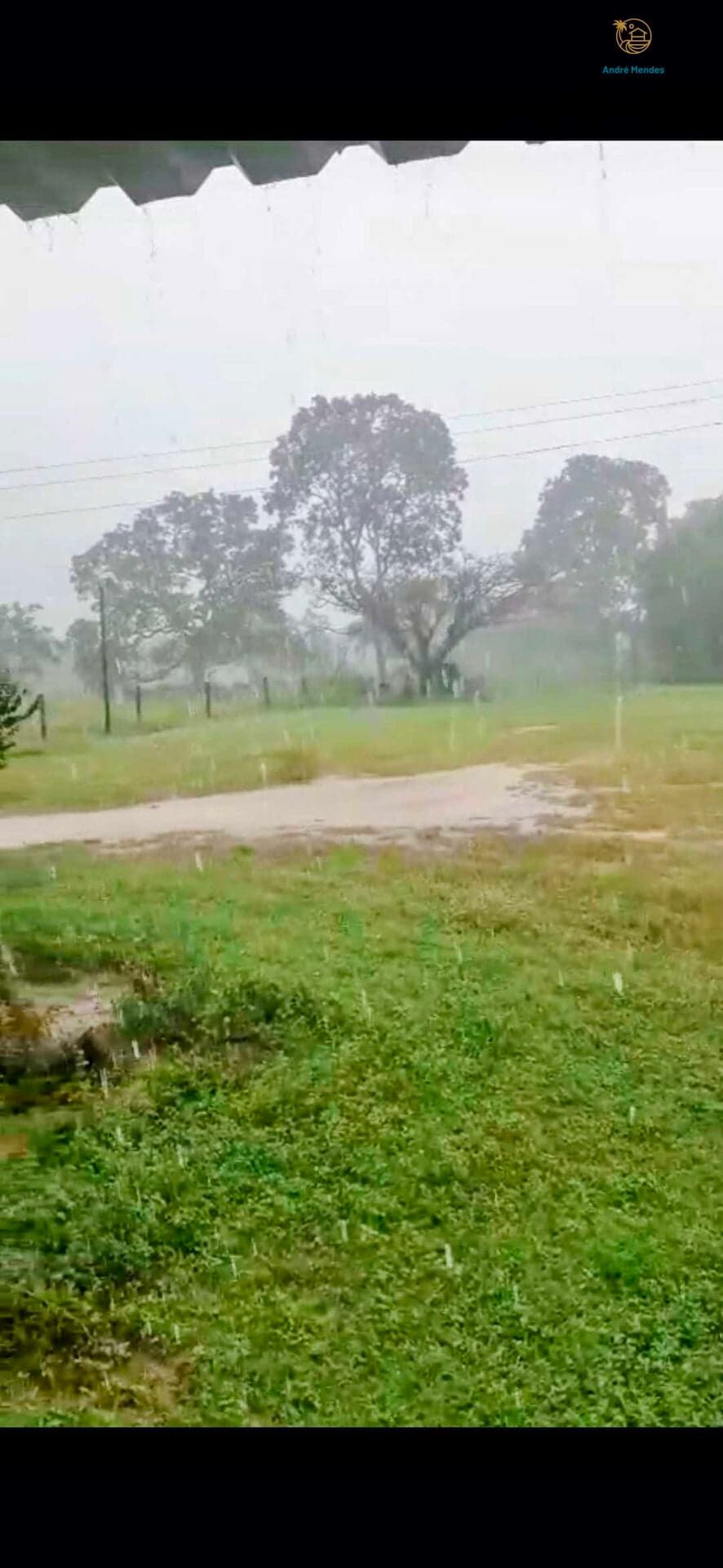 Fazenda/Sítios/Chácaras em São Francisco - Centro