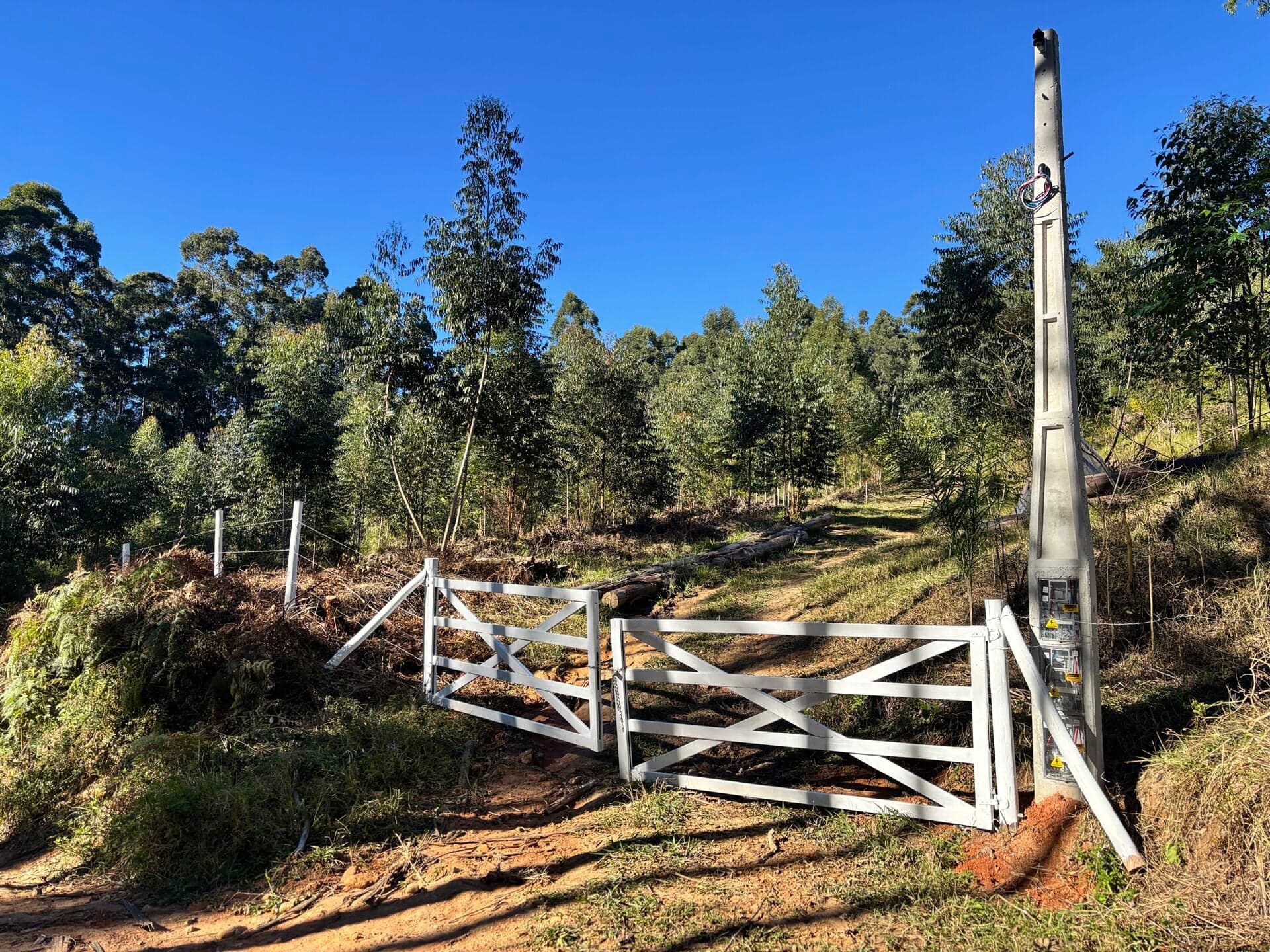 Lindo terreno Rural com 2 hectares no Recanto das Flores – Imaruí/SC