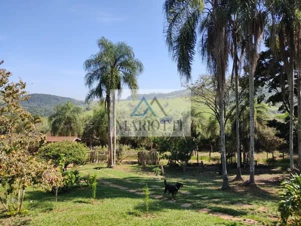Chácara à Venda em Caetetuba – Atibaia/SP | 3.535m² de Terreno com Duas Casas e Pomar Completo