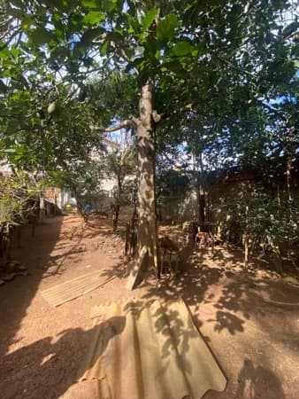 Lote/Terreno em Viçosa - Vale do Sol