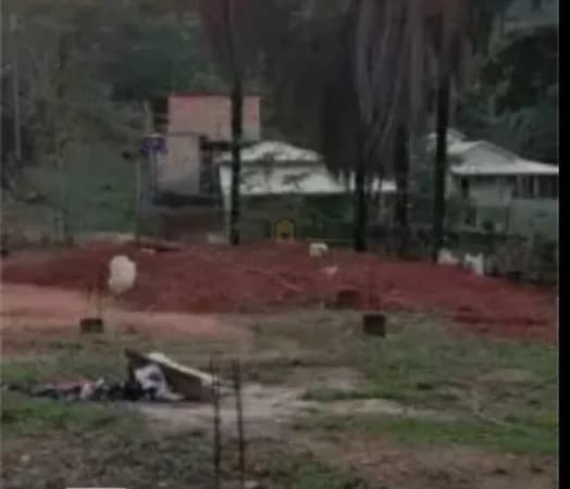 Lote/Terreno em Viçosa - Centro