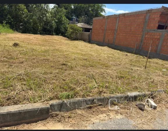 Terreno em rua Asfaltada