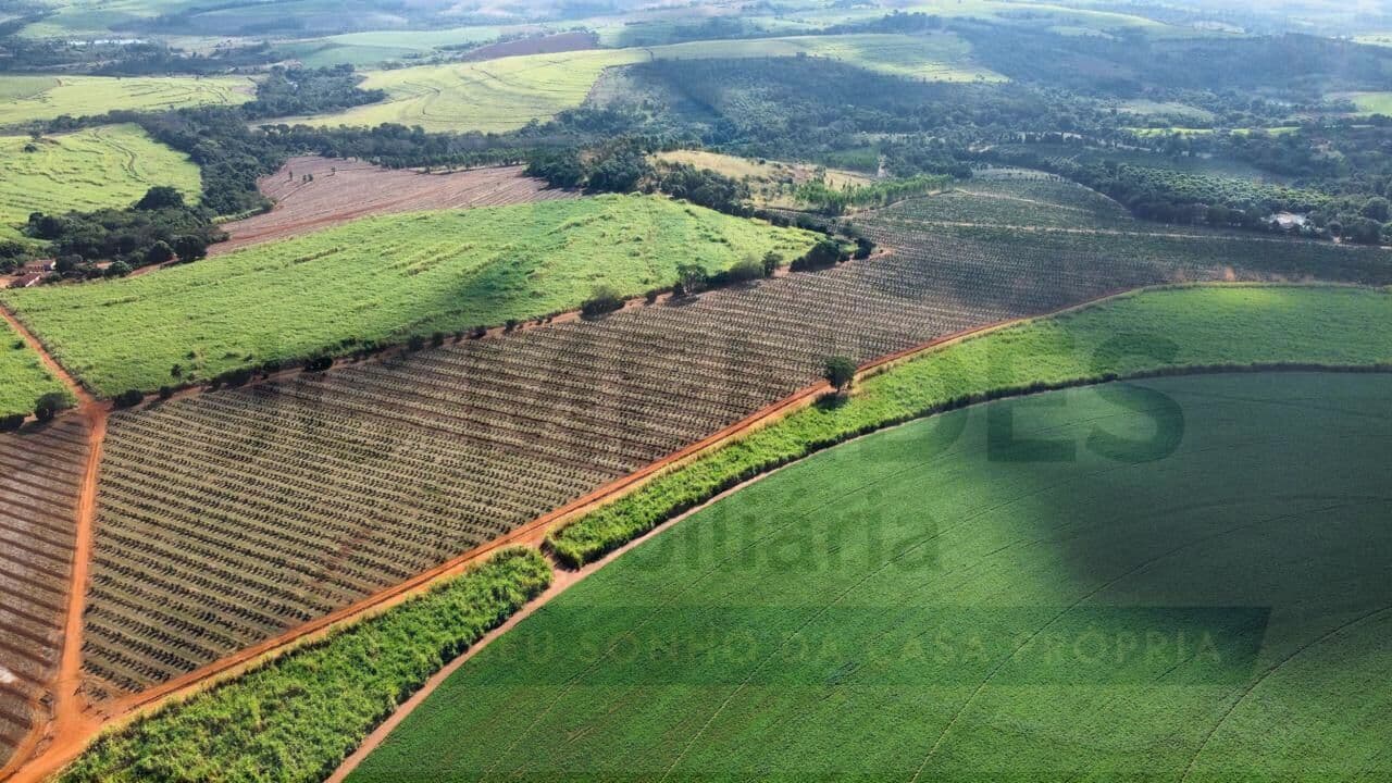 🚨 OPORTUNIDADE EXCLUSIVA NO AGRONEGÓCIO 🚨