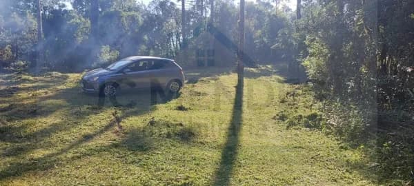 Fazenda/Sítios/Chácaras em Campina Grande do Sul - CICAMP