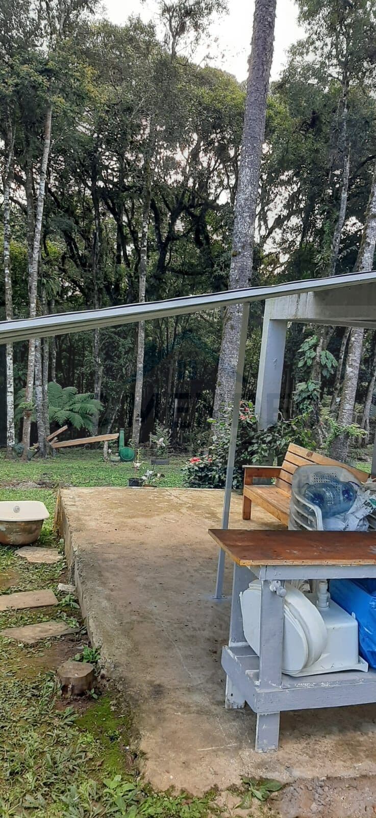 Fazenda/Sítios/Chácaras em Quatro Barras - Palmitalzinho
