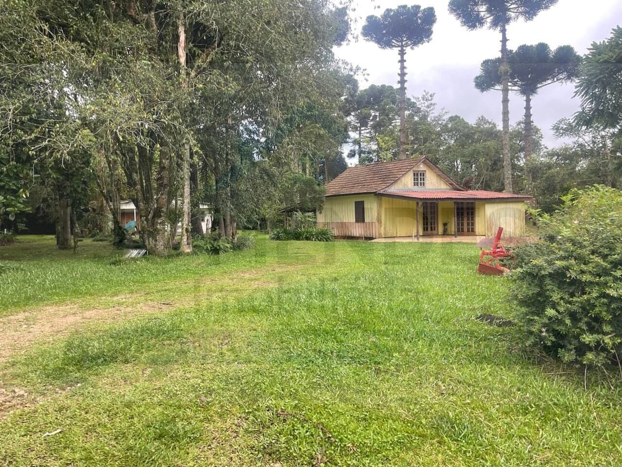 Vendo área com 50 alqueires — São José dos Pinhais/PR