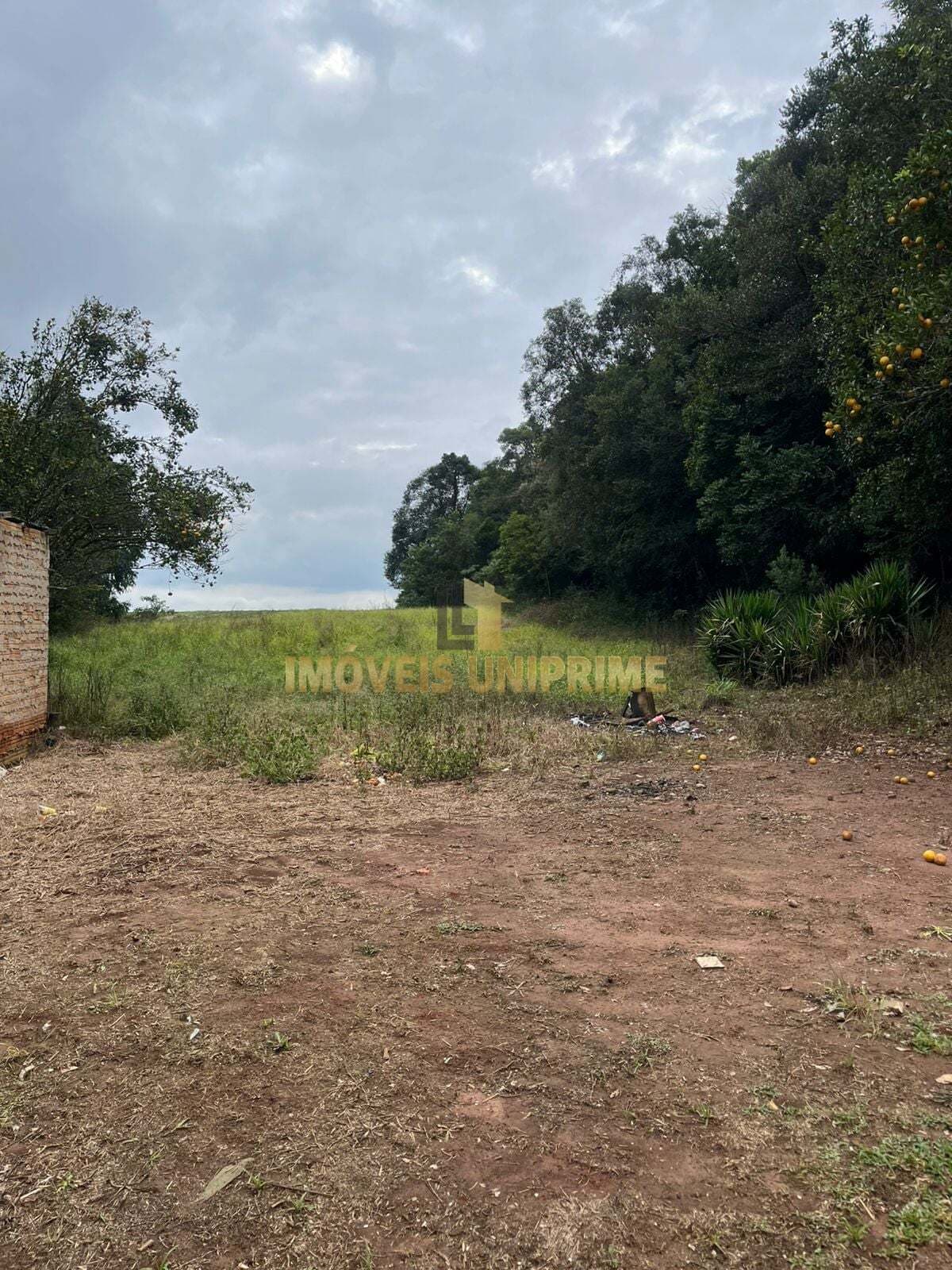 Chácara em Papagaios Novos, Palmeira/PR