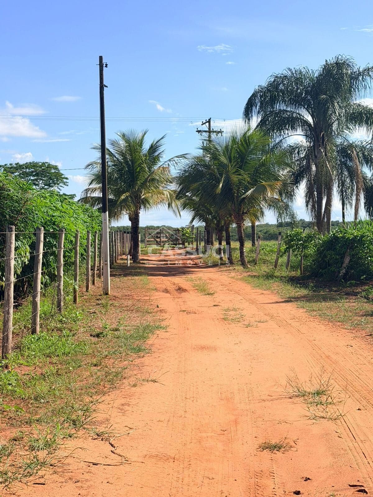 Vendo Lindo Sitio, Ótima localização, 4km da cidade, plano, 1.2 Alqueires