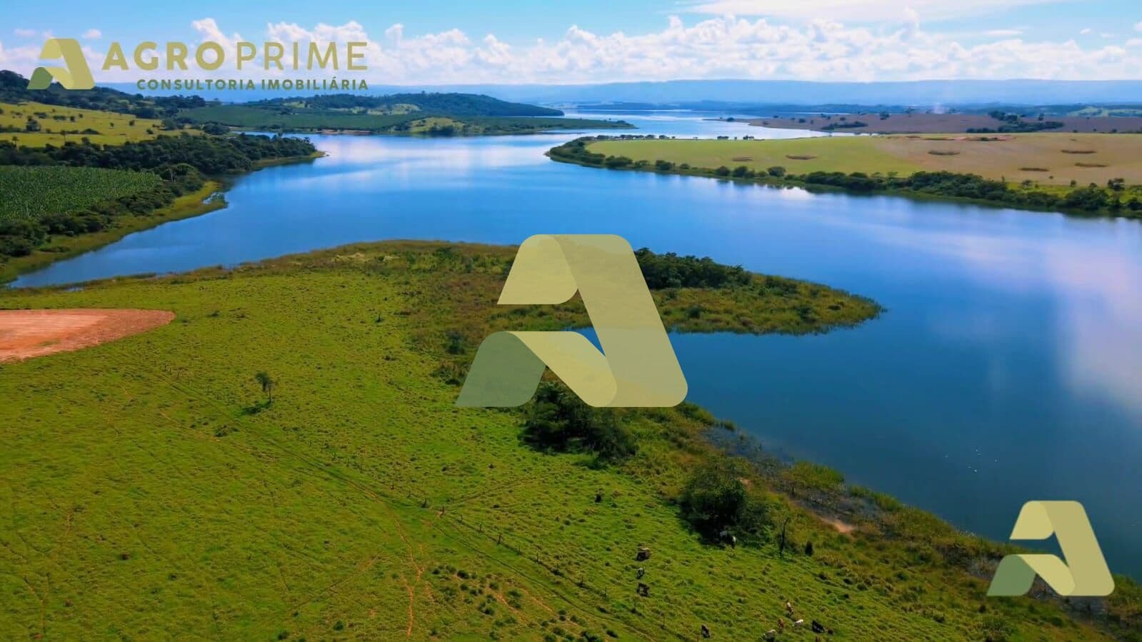 Sítio com 9,1 Alqueires: Excelente Oportunidade para Lavoura ou Empreendimento Rural 🌱 100% aproveitável para produção agrícola