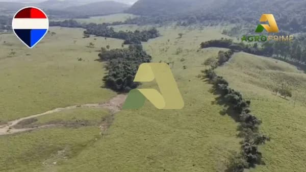 Fazenda à venda – Cássia/MG Excelente oportunidade localizada no município de Cássia/MG, a apenas 13 km da cidade.
