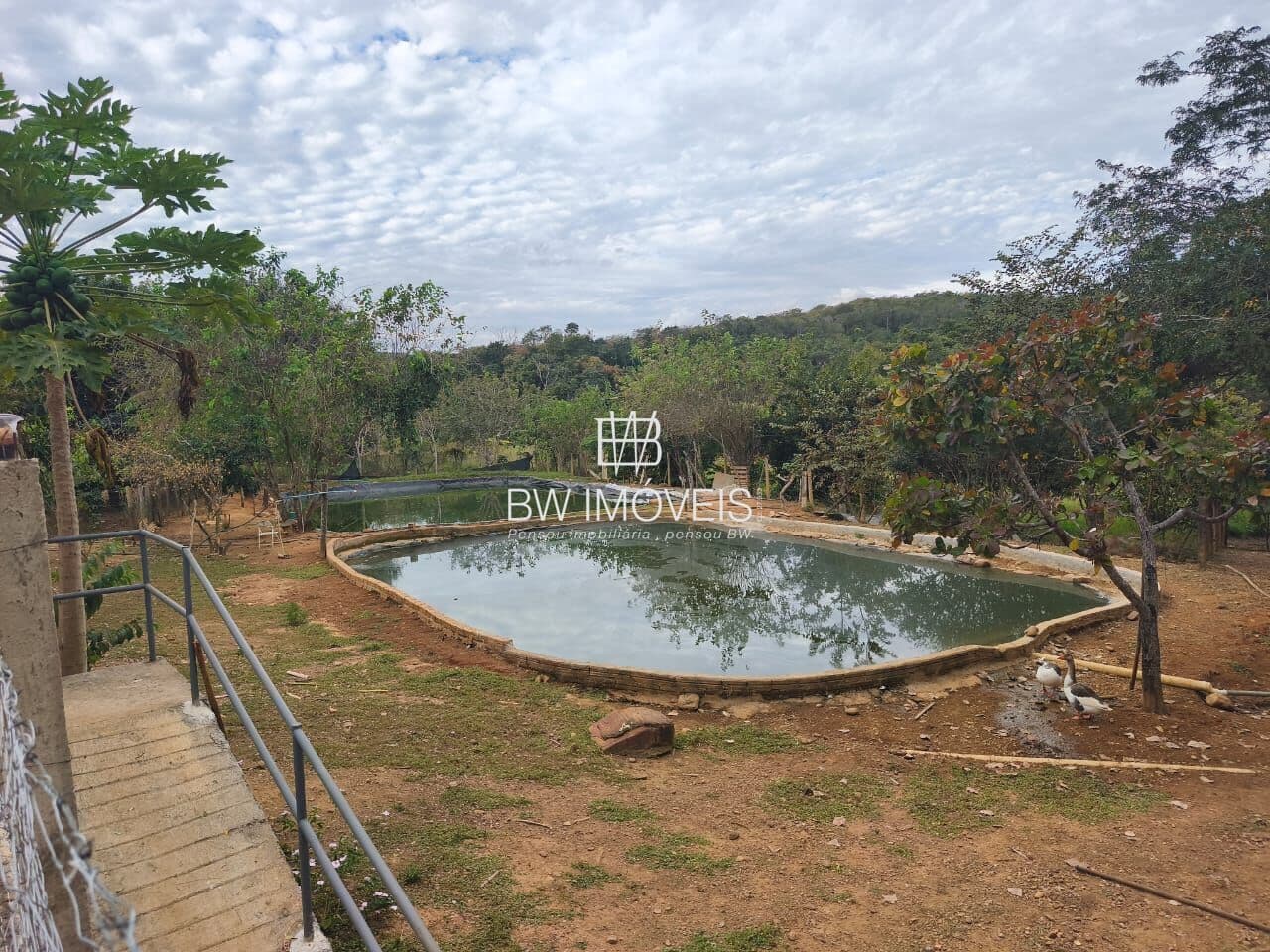Chácara com Água, Energia Solar, Frutíferas e Segurança – R$ 900 Mil