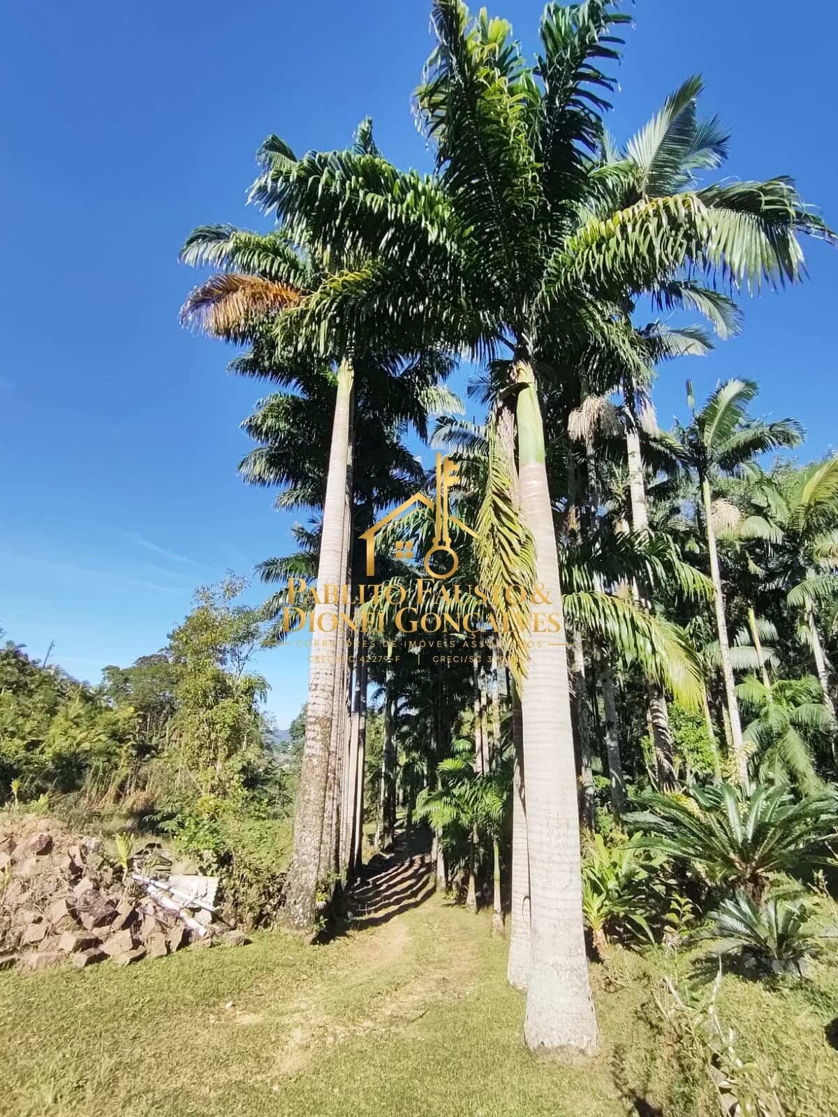 Fazenda/Sítios/Chácaras em Massaranduba - Área Rural de Massaranduba