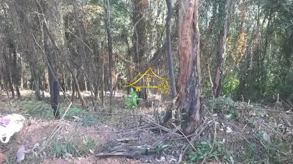 Lote/Terreno em Cabreúva - Fazenda Sossego (São Francisco)