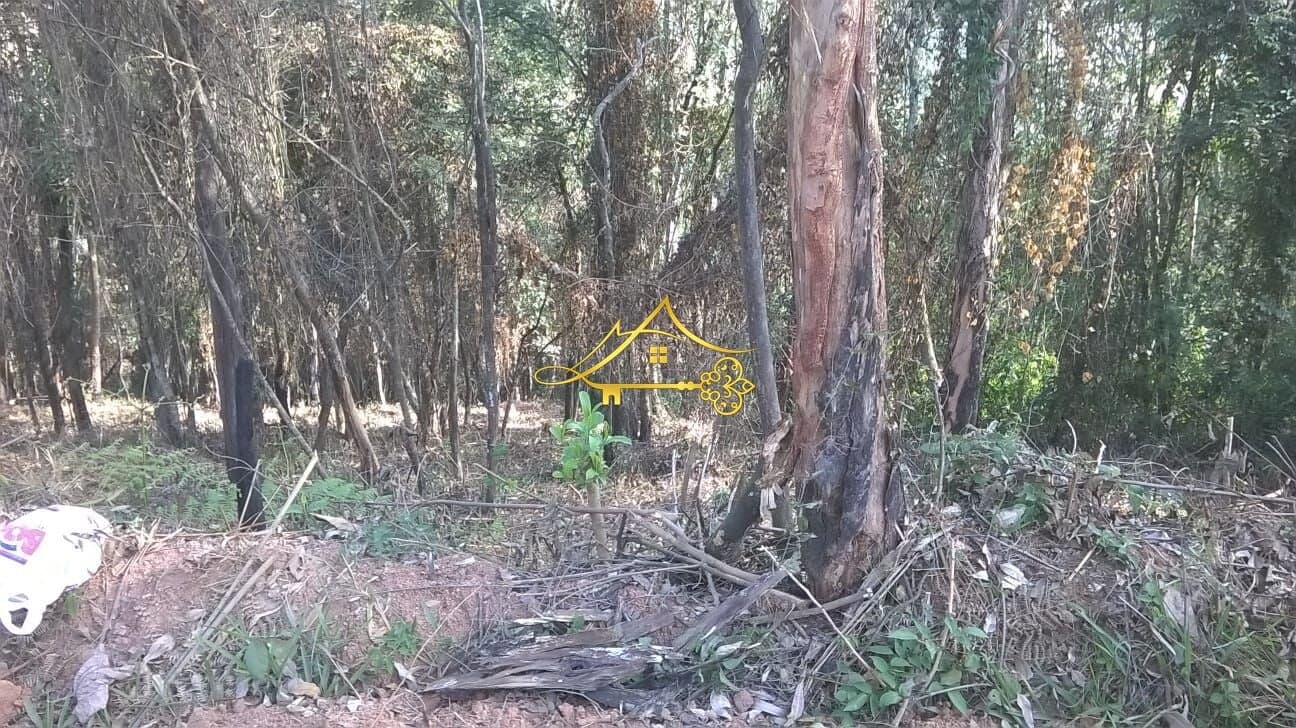 Lote/Terreno em Cabreúva - Fazenda Sossego (São Francisco)