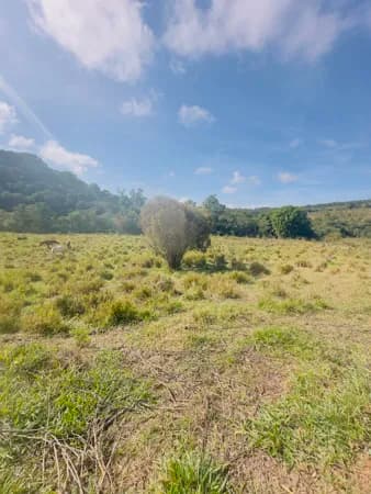 pedaço de paraíso em Itatiaiuçu por apenas 99.000,00