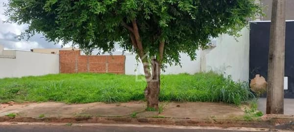 Terreno à Venda no Residencial Mário Benez em Fernandópolis | 250,70m² Quitado e Escriturado
