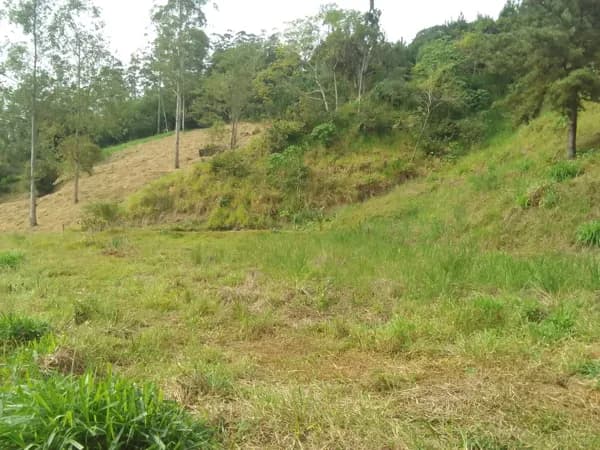 Lote/Terreno em Guaramirim - Beira Rio