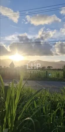 Lote/Terreno em Florianópolis - Pântano do Sul