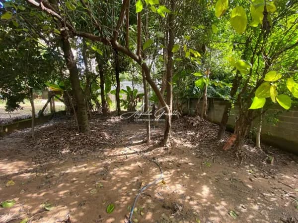 Casa em Jardim São Carlos, Sorocaba/SP