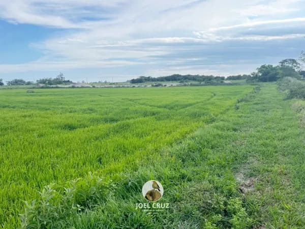 Lote/Terreno em Jaguaruna - Jaboticabeira