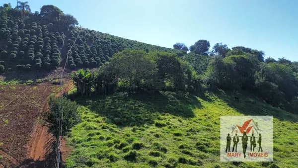 Fazenda/Sítios/Chácaras em Bandeira do Sul - Centro